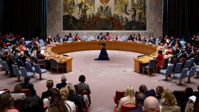 شورای امنیت سازمان ملل
