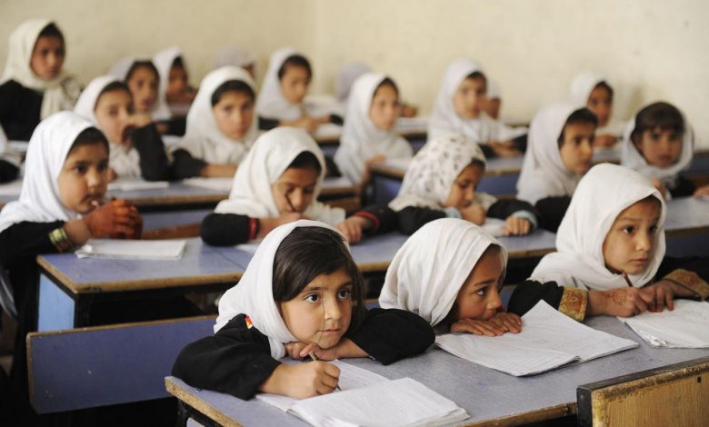 afghan student