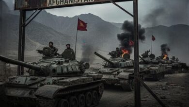 InShot 20251228 124621672